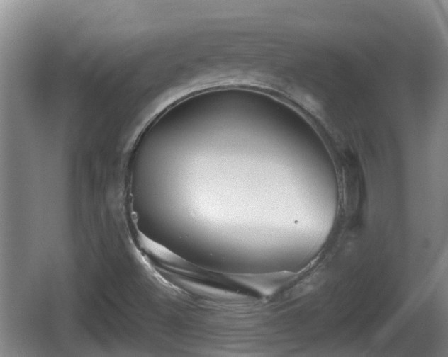 X0000067891500200604171323