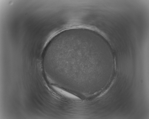 X0000067891501200604171323