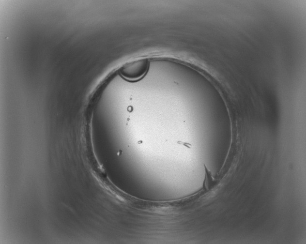 X0000067891502200604171323