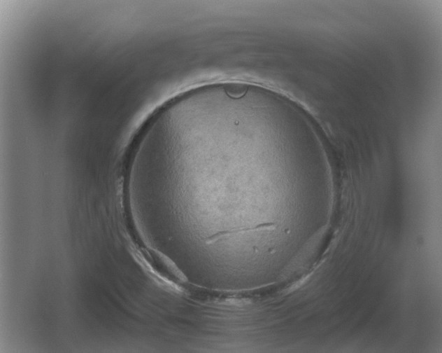 X0000067891503200604171323