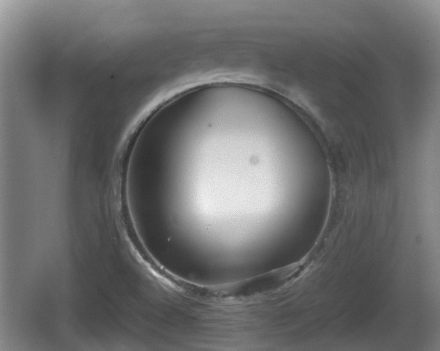 X0000067891504200604171323