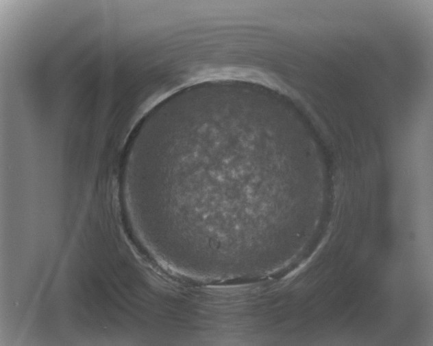 X0000067891505200604171323