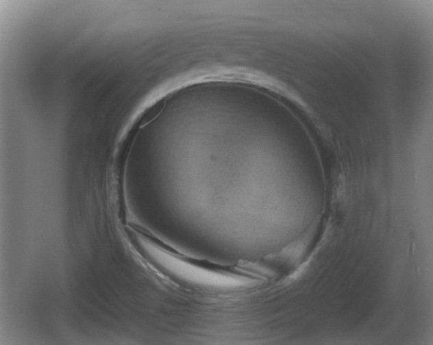 X0000067891506200604171324