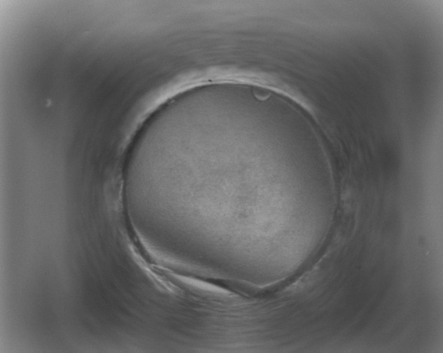 X0000067891507200604171324