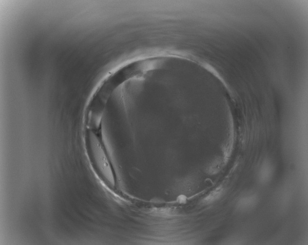 X0000067891508200604171324