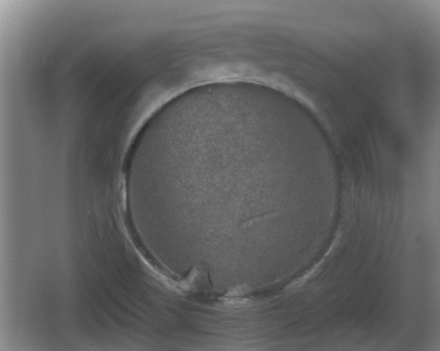 X0000067891509200604171324