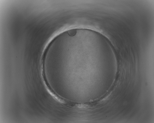 X0000067891511200604171324