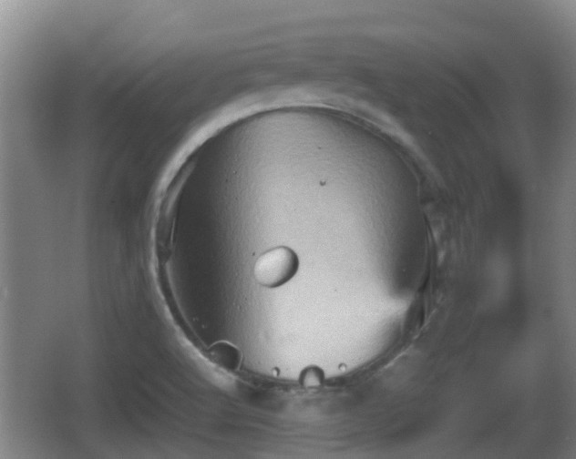 X0000067891512200604171324