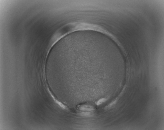 X0000067891513200604171324