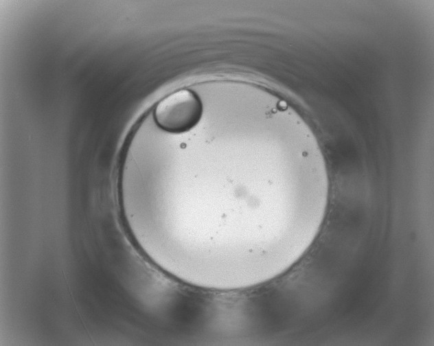 X0000067891514200604171324