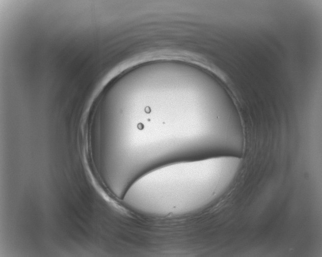 X0000067891515200604171324