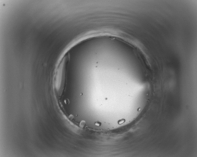 X0000067891516200604171324