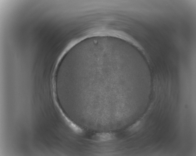 X0000067891517200604171324