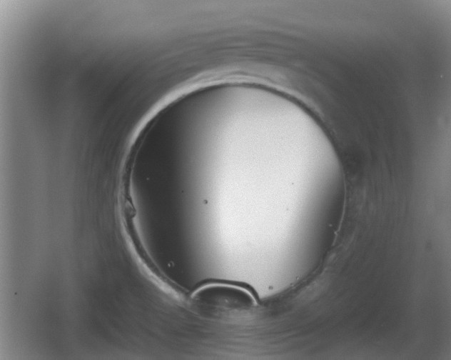 X0000067891518200604171324