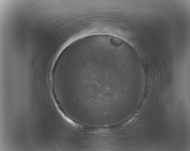 X0000067891519200604171324