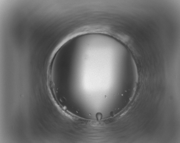 X0000067891520200604171324