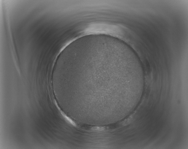 X0000067891521200604171324