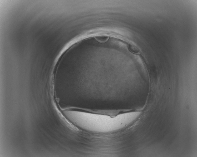 X0000067891522200604171324