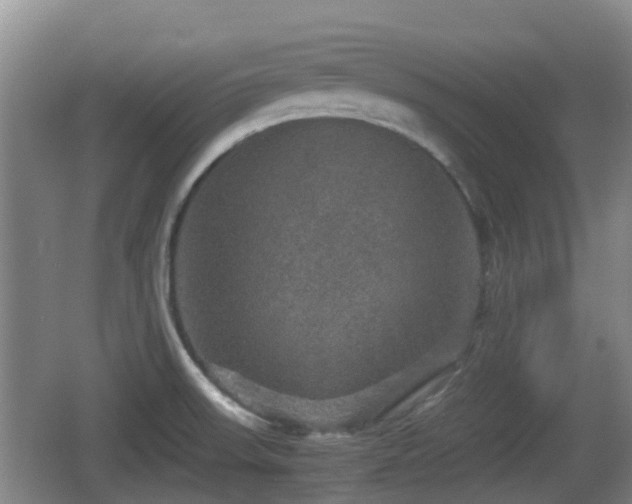 X0000067891523200604171324