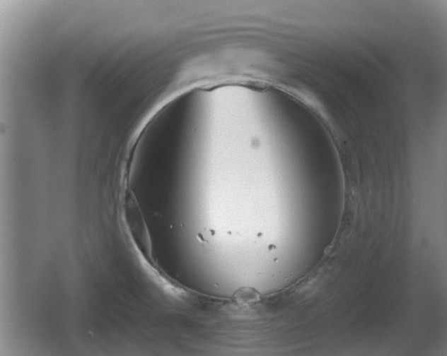 X0000067891524200604171324