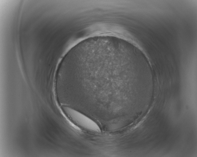 X0000067891525200604171324