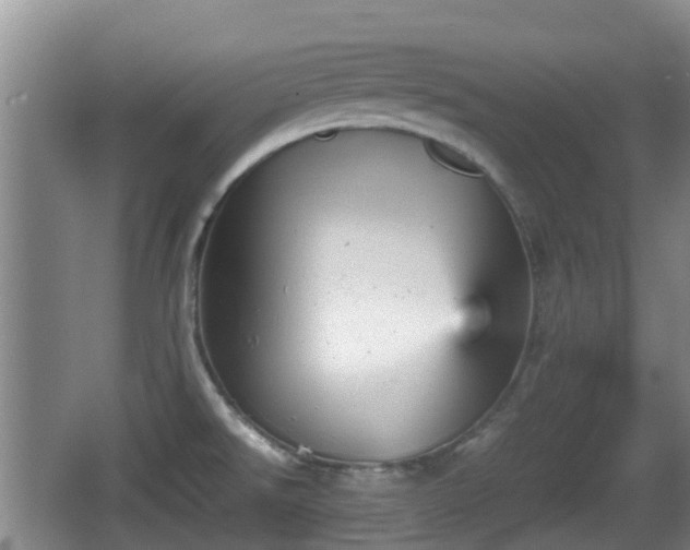 X0000067891526200604171324