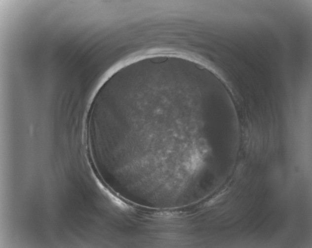 X0000067891527200604171324