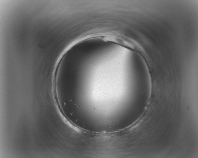 X0000067891528200604171324