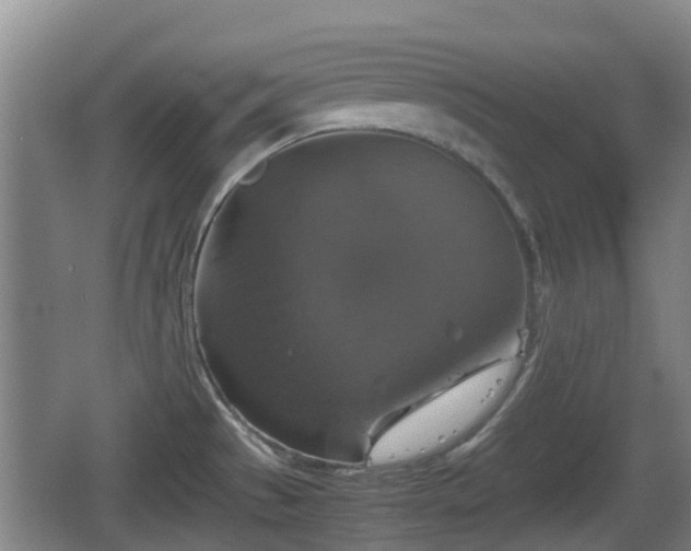 X0000067891529200604171324