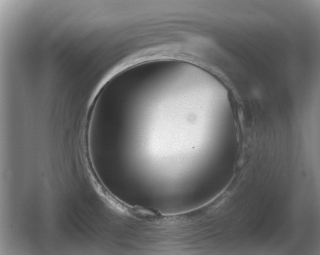 X0000067891530200604171324