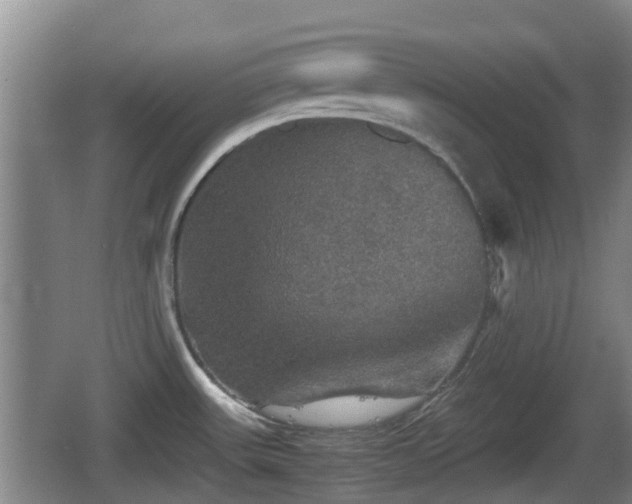 X0000067891531200604171324