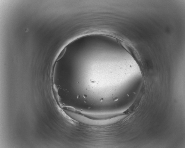 X0000067891532200604171324