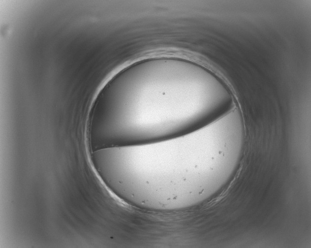 X0000067891533200604171324