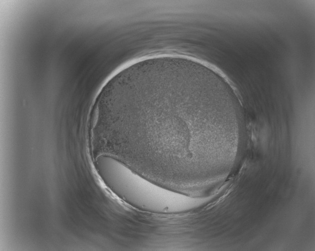 X0000067891534200604171324