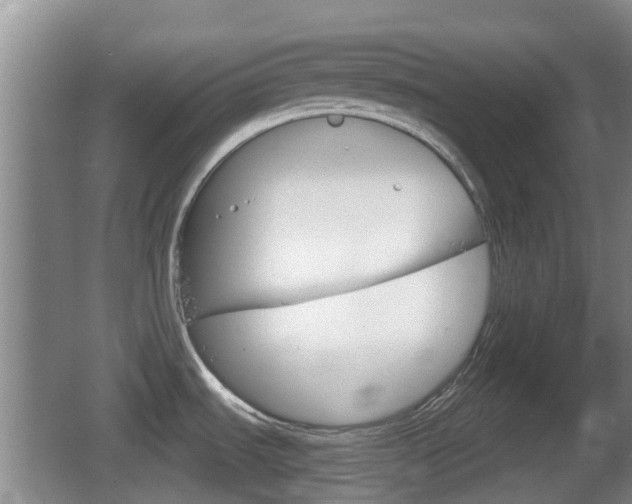 X0000067891535200604171324