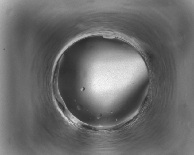 X0000067891536200604171324