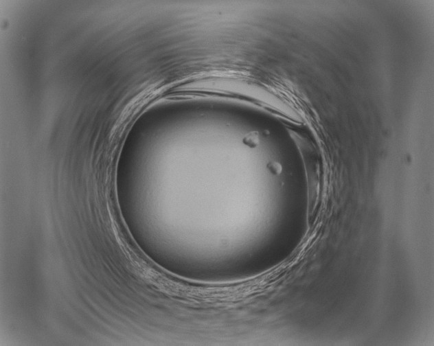 X0000067890001200604201321