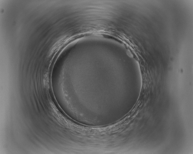 X0000067890002200604201321