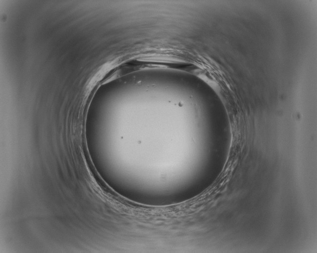 X0000067890003200604201321