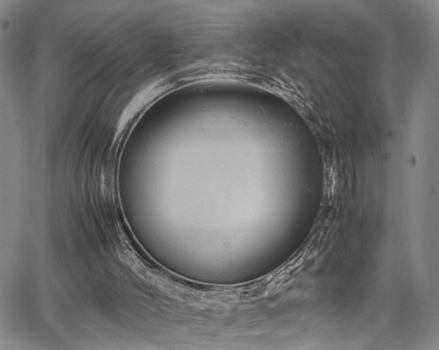 X0000067890004200604201321