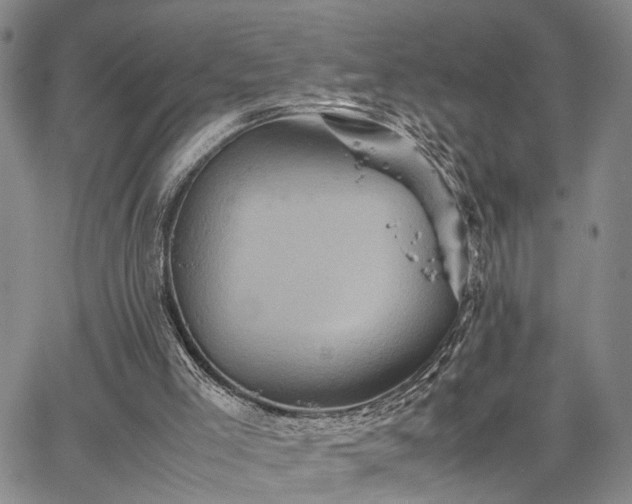 X0000067890005200604201321