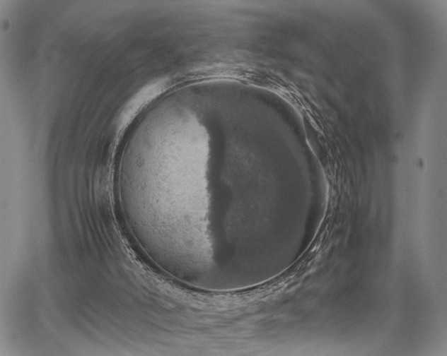 X0000067890006200604201321