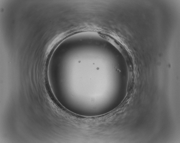 X0000067890007200604201321