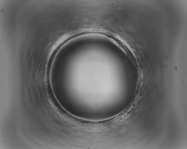 X0000067890008200604201321