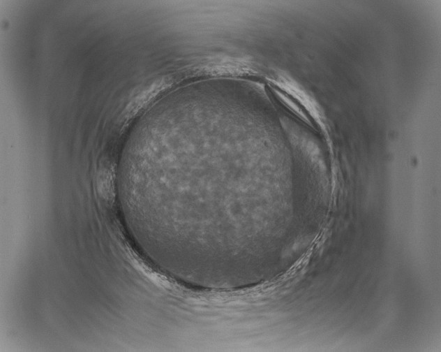 X0000067890009200604201321