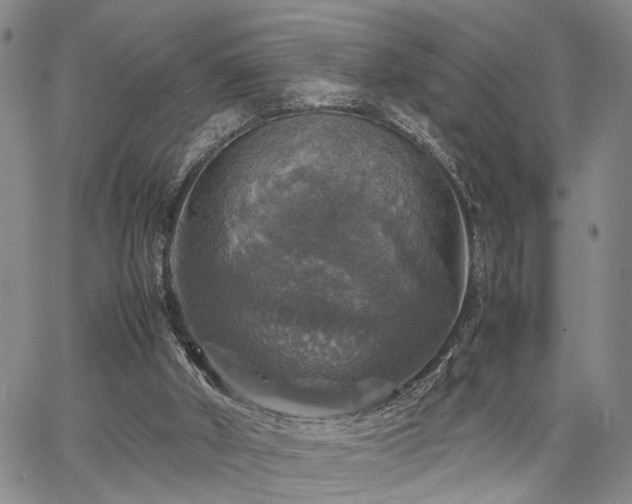 X0000067890010200604201321