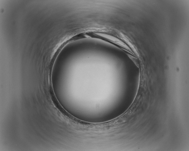 X0000067890011200604201321