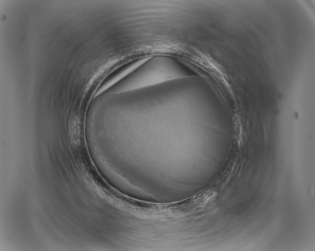 X0000067890012200604201321