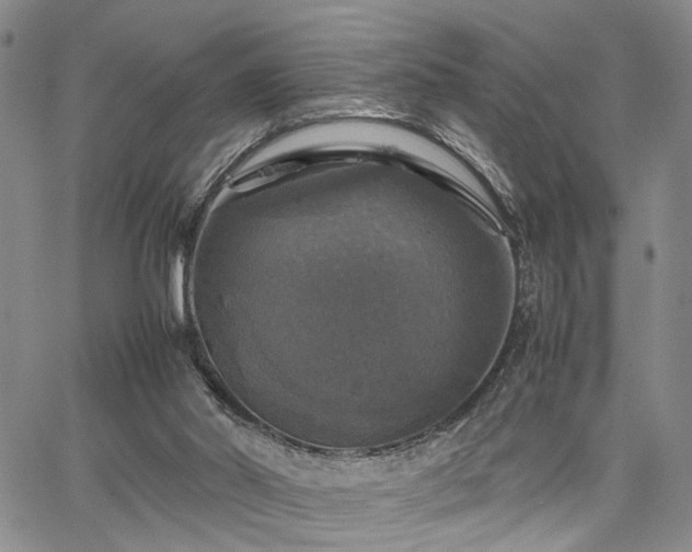 X0000067890014200604201321