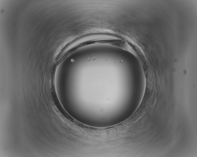 X0000067890015200604201321